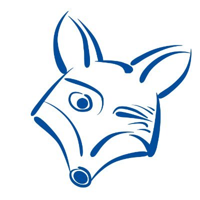 ClearFox logo logo